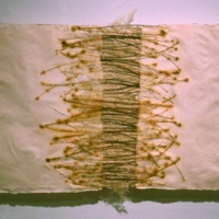 Jennifer Poueymirou, Torn, 2005. Handmade abaca/cotton paper, twigs, pampas grass seeds; 35 x 26 in. Courtesy of Jennifer Poueymirou.