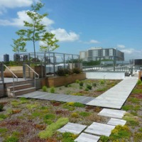 Green Roof Installation, Association for Energy Sustainability, Bronx, New York, 2011.