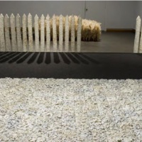 Jennifer Poueymirou,Discerning Lines of Demarcation, 2007. Porcelain, pampas grass seeds, charcoal from a burned down house, wood, steel, 3.5 x 38 x 38 ft. Courtesy of Jennifer Poueymirou