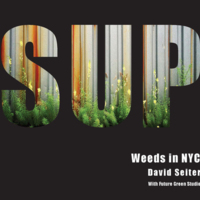 Cover of Spontaneous Urban Plants: Weeds in NYC by David Seiter with Future Green Studio, 2016.